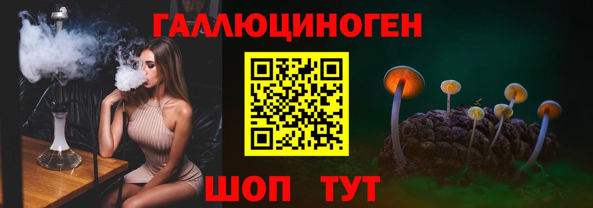 Галлюциногенные грибы GOLDEN TEACHER  Вход с VPN  Алапаевск 
